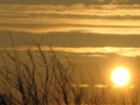 26.02.2011 057.JPG
