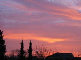 10.02.2011 003.JPG
