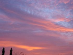10.02.2011 004.JPG