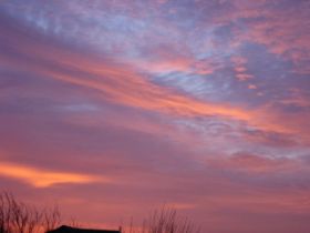10.02.2011 005.JPG