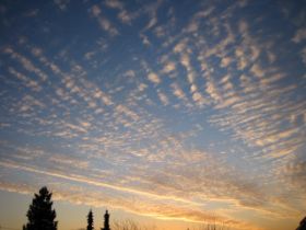 12.02.2011 019.JPG