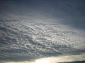 09.02.2011 006.JPG