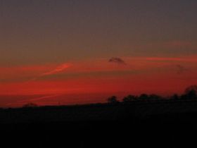 08.02.2011 016.JPG